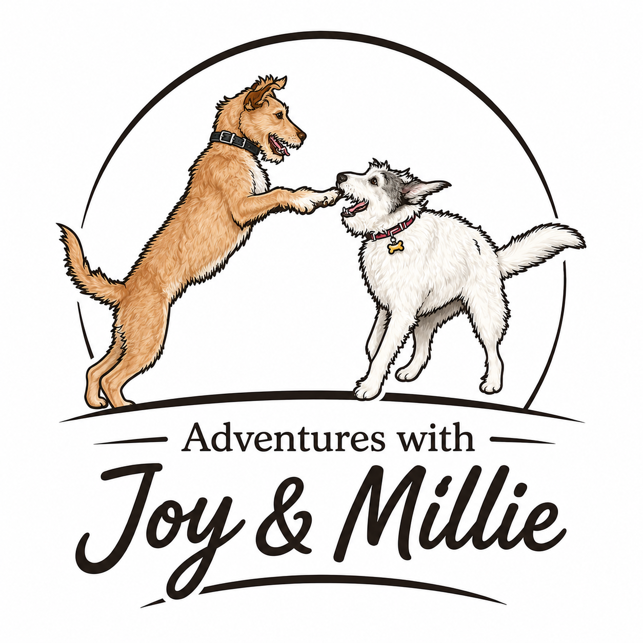 Adventures with Joy & Millie
